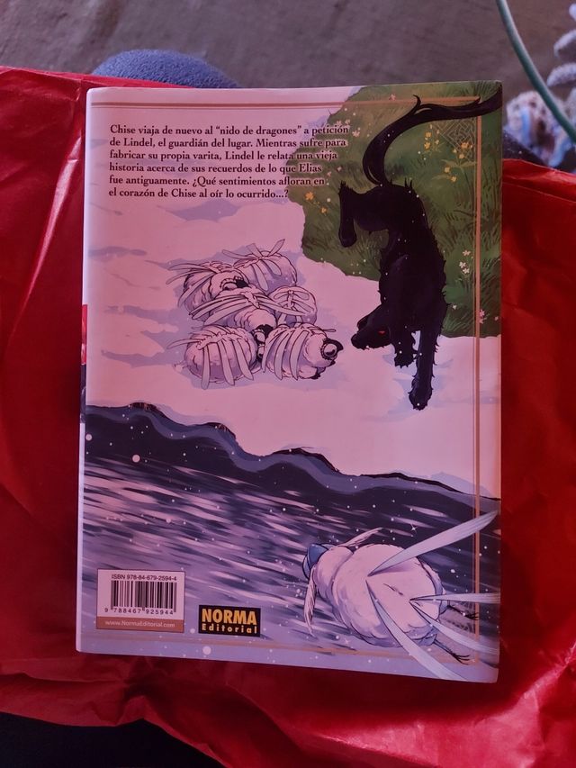 Manga The Ancient Magus Bride