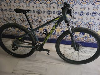 Bicicleta de Montaña