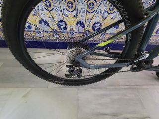 Bicicleta de Montaña