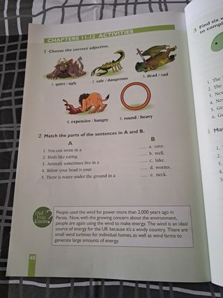 Libro All About Britain