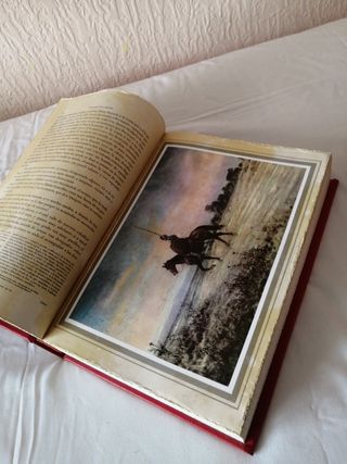 LIBROS DON QUIJOTE DE LA MANCHA