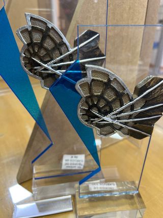 Trofeo de Dardos 2 unidades
