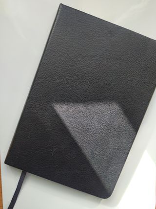 Apuntes magisterio Educacion Primaria Bilingüe UCM