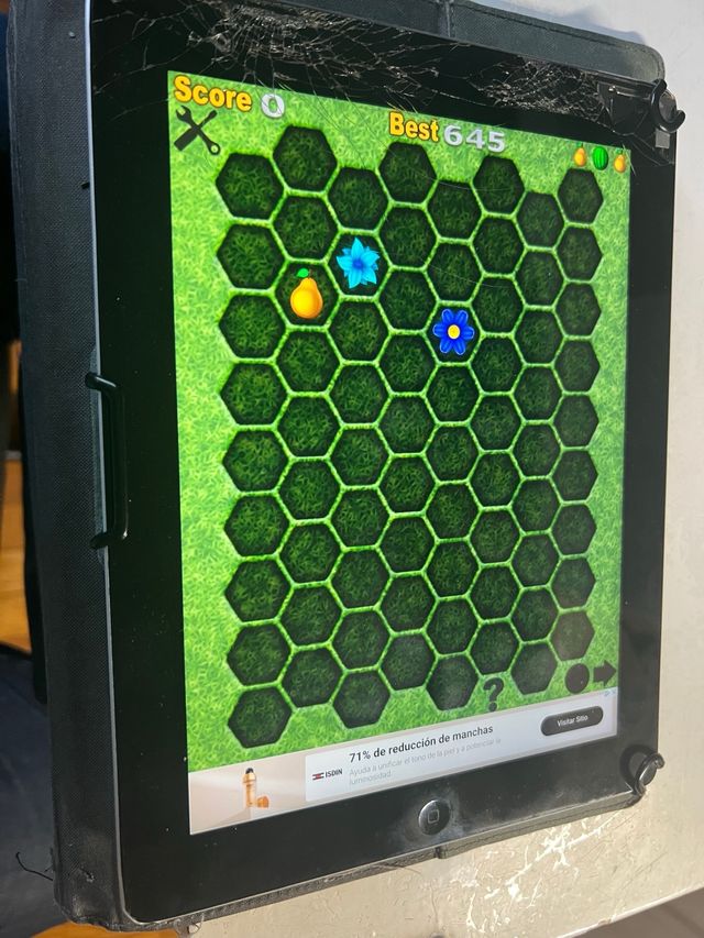 ipad 1 funcionando perfectamente