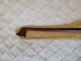 Violín 1/2 adaptado a viola