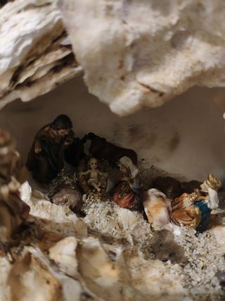 Presepe in ostriche e conchiglie