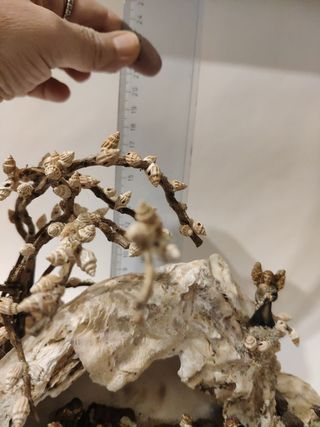 Presepe in ostriche e conchiglie