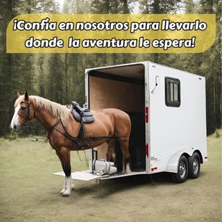 Transportes de caballos