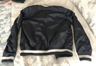 Chaqueta bomber Springfield