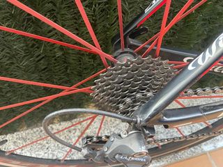 Wilier triestina GTR