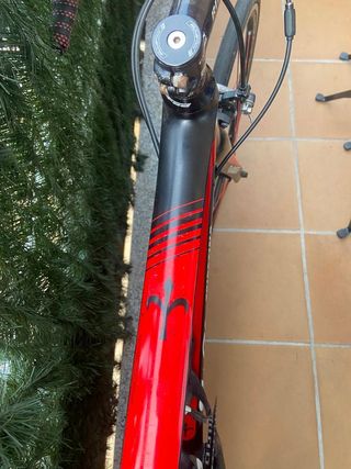 Wilier triestina GTR