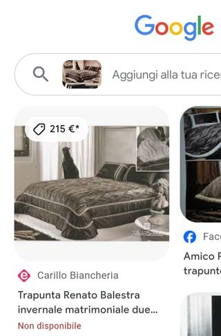 Piumone moderno
