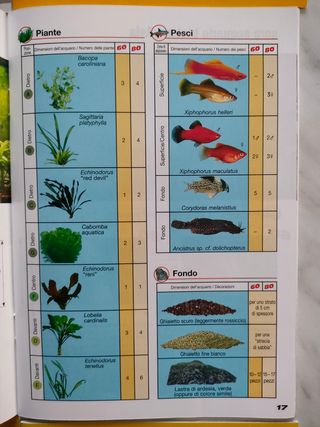 Guide depliant Tetra/Sera miste