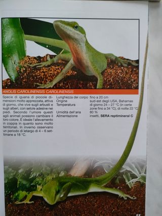 Guide depliant Tetra/Sera miste
