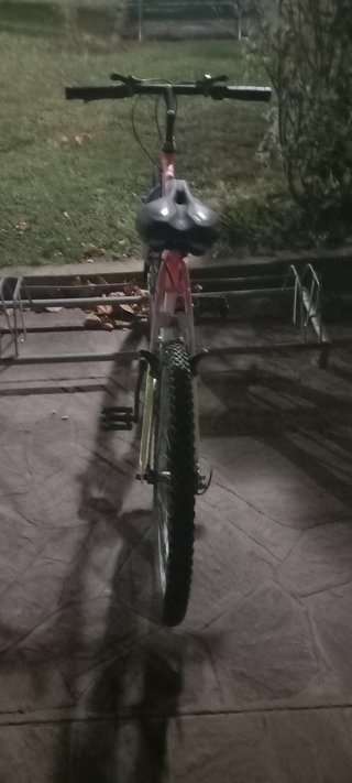 bicicletta
