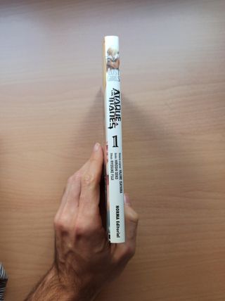 Manga ataque a los Titanes lost girls