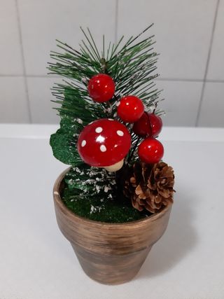 vasetto con pianta Natale