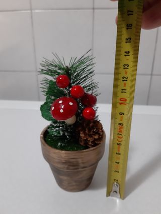 vasetto con pianta Natale