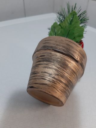 vasetto con pianta Natale