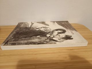 Libro Goya. Los Caprichos, Dibujos y Aguafuertes