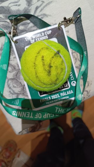  Pelota de tenis firmada por Djokovic 