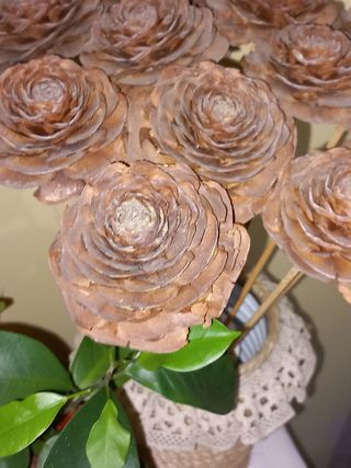 Rosas de piñas del Himalaya