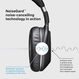 Auriculares de Diadema Sennheiser PXC550