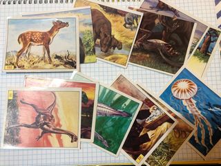 lote 13 cromos animales prehistoricos