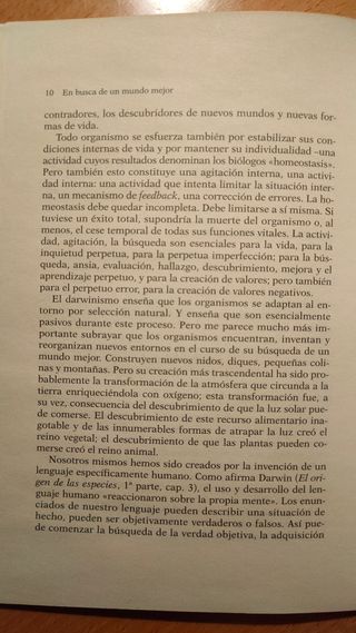 En busca de un mundo mejor - Karl Popper