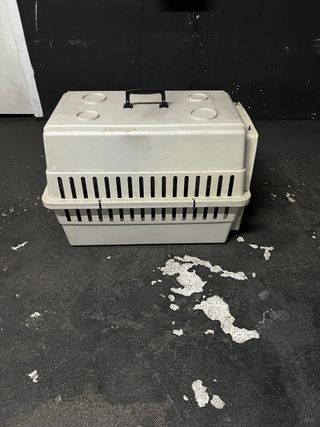 transportin perro mediano