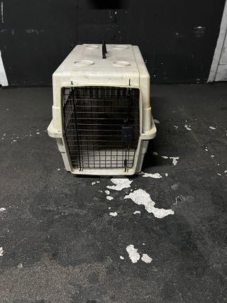 transportin perro mediano