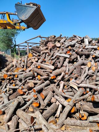 Venda llenya  , venta de leña