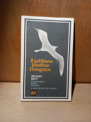 Il gabbiano Jonathan Livingston