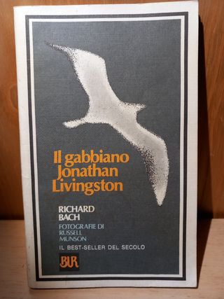 Il gabbiano Jonathan Livingston