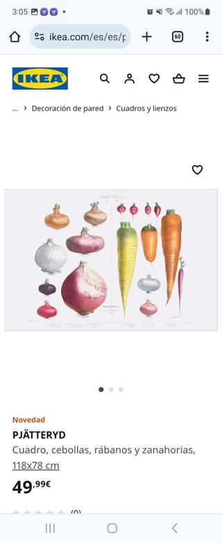 Cuadro Pjatteryd Ikea 118x78cm