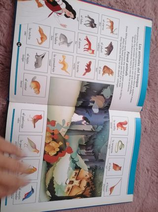 Mi primer Libro de palabras en inglés