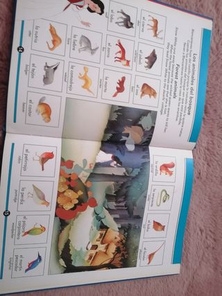 Mi primer Libro de palabras en inglés