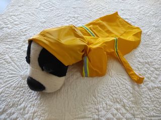1 o 6 Chubasqueros para perro