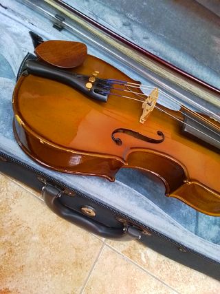 Viola stentor 12"