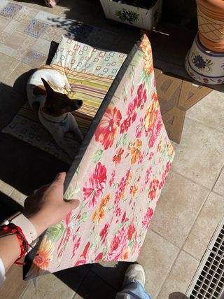 Colchón para perro MEDIANO