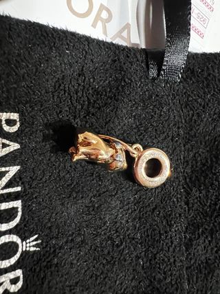 charm gato pandora