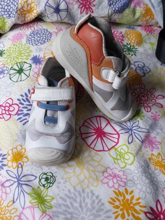 Biomecanik número 24