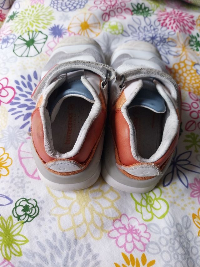 Biomecanik número 24