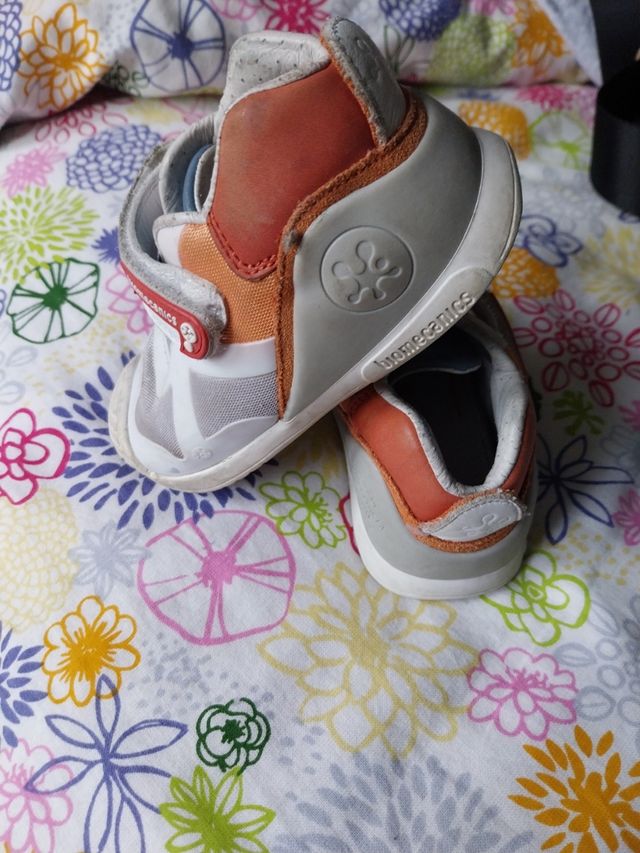 Biomecanik número 24