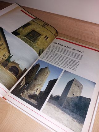 LLIBRE - Pedres i figures - CATALÀ