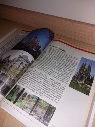 LLIBRE - Pedres i figures - CATALÀ