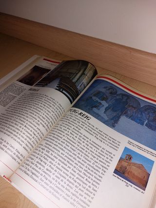 LLIBRE - Pedres i figures - CATALÀ