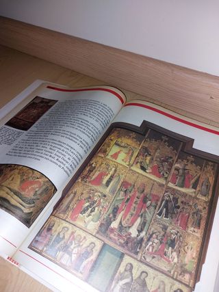 LLIBRE - Pedres i figures - CATALÀ