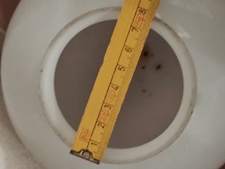 Coppia Diffusori/Globi Vintage Anni '70/'80 in Vet