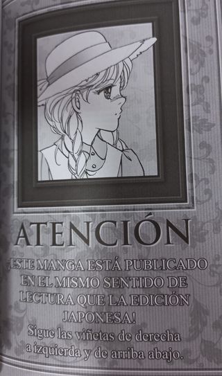 Libro Ana de las tejas verdes